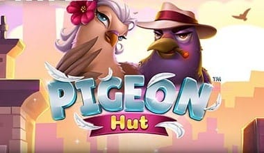 Pigeon Hut